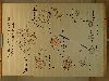 B 065.jpg